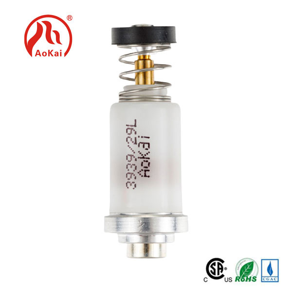 Solenoid Valve para sa Gas Cooker